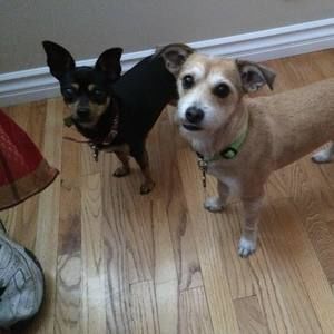 Meet your Posher, Andrew